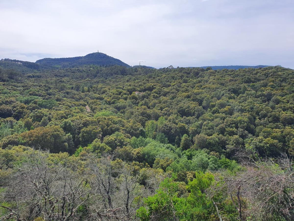 La Bastide Bleue Villa Anduze Kültér fotó